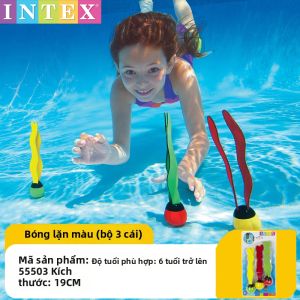 Intex | Gậy Lặn Đu Quay Tảo Biển