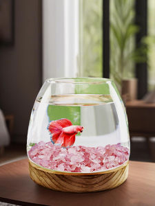 CHONGXIAOSHUAI | Decorative Round Small Glass Aquarium Eco-Friendly Fish Tank
