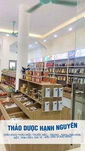 Đại Bổ Khí huyết (nữ thần khí huyết) đẹp da ngủ ngon tăng cường sức khoẻ nữa giới - Thảo Dược Hạnh Nguyên