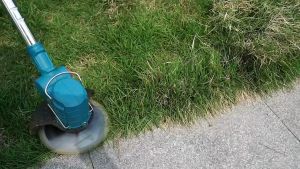 เครื่องตัดหญ้าไฟฟ้า 24v เพื่อการกำจัดหวังคื้น พิเศษ 24v สำหรับการตัดไม้ โดยไม่ต้องผ่าตัด 24v ระยะเวลา ระบบดิจิทัล 24v สำหรับการตัดไม้ 24v ไม่ต้องผ่าตัด