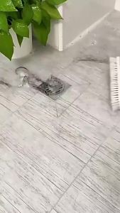 🔥Wishwa👍 Floor Drain Stickers Anti-clogging Filter Hair Catcher Bathroom Mesh Covers Disposable
