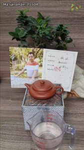 Ấm biển phúc phỏng cổ - Đại Hồng Bào - Vương Trấn Học