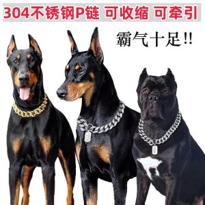 Gold Wide P-Chain Dog Leash Stainless Steel Walking Rope Engraved Large Medium Dog Neck Harness Chain Pet Supplies