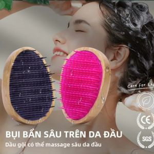 Bàn Chải Tóc Hình Quả Trứng Di Động Dành Cho Nữ Lược Gỗ Tre Dành Cho Tóc Xoăn Dày Dụng Cụ Massage Da Đầu Gội Đầu Tắm Tắm Vòi Sen