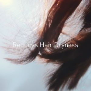 Panasonic nanoE MOISTURE+ and Mineral 1600W Hair Dryer EH-NA0J