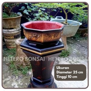 POT BONSAI TANAMAN HIAS RELIEF SEGI 8 THE MAX ORIGINAL BAHAN SEMEN