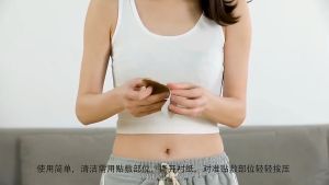 80PCS Herbal Ginger Patch Promote Blood Circulation Knee Neck Back Pain Relief Patch Improve Sleep