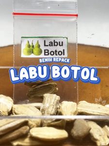 Benih Labu Botol Unggulan Berkualitas bibit biji waluh kendi sayuran hydroponik hidroponik