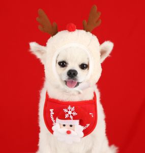 [Lovinland] Christmas Pet Hat Saliva Towel Bib Dog Hat Cat Christmas Hat Autumn and Winter Clothes Pet Supplies