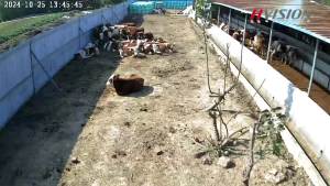 HVISION🔥แถมฟรีซิม sim 5G/4G🔥 CCTV กล้องวงจรปิด ใส่ซิมเน็ต กล้องใส่ซิม4g ไร้สาย รุ่นใหม่ 8ล้านพิกเซล IP Camera กลางแจ้ง กันน้ำ ภาพคุณภาพสูง4K 360องศา แอพภาษาไทย