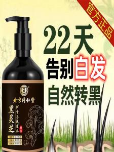 Pure Plant Essence Shampoo Black Ganoderma Wolfberry Leaf And Ginger Hair Dyeing Product Gentle Cleaning And Repairing for All Hair Types