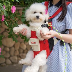 HATELI Dog Carrier Bags Breathable Outdoor Pet Cat Carriers Small Dogs Cats Backpack Fashion Travel Pet Bag Transport Puppy Carrier