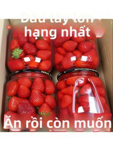 Fresh Strawberry & Peach Canned Fruits 510g