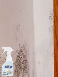 นำเข้าจากญี่ปุ่น ใช้1ครั้งไม่เคยขึ้นรา💯 สเปรย์กำจัดเชื้อรา สเปรย์กำจัดเชื้อรา น้ำยากำจัดเชื้อรา ขจัดเชื้อราอย่างรวดเร็วและกันเชื้อรา น้ำยาฆ่าเชื้อรา ไม่ต้องเช็ด ไม่ทำลายผนังและเฟอร์นิเจอร์ ไม่ทิ้งรอย น้ำยาขจัดเชื้อรา สเปรย์ฆ่าเชื้อรา