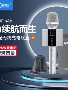 Hifier G60MAX Integrated Sound Card Speaker Mobile Karaoke Tool Handheld Microphone with Stand Storage Bag And Accessories