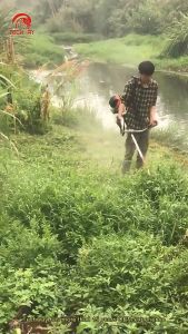 PRODIY Cordless Petrol Grass Trimmer CG430 52CC Brush Cutter Grass Trimmer Heavy Duty Dual Line Blade Mesin Rumput BG430