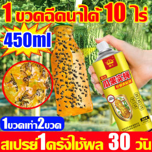 🐝ใช้ 1 ครั้งฆ่าแมลงวันผลไม้ได้ 10000ตัว 🐝 สารล่อแมลงวันทอง 450ml เข้มข้นสุด เมทิลยูจินอล ดึงดูดแมลงวัน100% ติดแน่น หนีไม่พ้น ยากำจั แมลงวันทอง สารล่อแมลงวันทองตัวเมีย สารล่อแมลงทอง1ขวดใช้พื้นที่ได้ 13-20 ไร่ ล่อแมลงวันทอง สเปรย์ดักแมลงวันทอง กาวดักแมลง