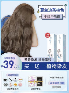 MORANDI TEA BROWN Hair Dyeing Paste Women Pure Black Tea Natural Cover Grey Hair Fog Sensation Hair Coloring Agent