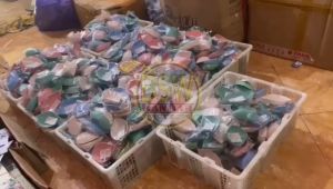 ( isi 50 pcs ) Souvenir MANGKOK SAMBAL MODEL DAUN kemas PLASTIK Kartu Ucapan Suvenir Murah Makassar