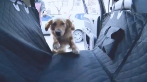 Dog Cat Seat Cover for Cars Trucks and SUVs 600D Heavy Duty Pets Car Seat Cover Waterproof & Wear-Resistant Durable Nonslip Backing & Hammock Convertible