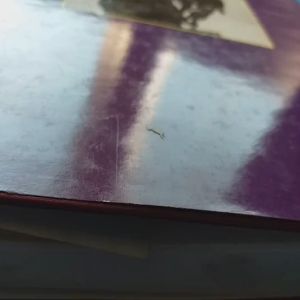 บ่อเกิดลัทธิประเพณีอินเดีย เล่ม 2 ภาค 5-6    ผู้แปล จำนงค์ ทองประเสริฐ  ฉบับราชบัณฑิตสถาน จัดพิมพ์