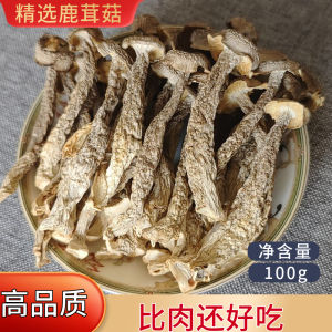 New Stock Deer Mushroom Dried Goods 500g Yunnan Specialty Wild Mushroom Deer Velvet Cap Delicious Crisp And Tender Flavor