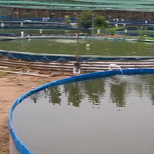 Large Capacity Fish Pond Galvanized Steel Pool Outdoor Farming Kolam Air 3.2T 8.4T 14.8T 23T