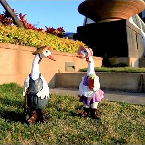 เป็ดรูปปั้นสำหรับรูปปั้นประดับสวนรูปปั้นสัตว์เรซินตกแต่งบ้านทันสมัยกลางแจ้งหรือในร่มศิลปะหัตถกรรมรูปปั้นตกแต่งสำหรับ Gardenตุ๊กตากบลอยน้ำตกแต่งสวน