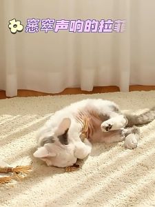 Catnip Thanh Gỗ Cho Mèo Cỏ Mèo Khô Đồ Chơi Mài Răng Trắng Răng Mài Móng Cho Thú Cưng - Thú Cưng Của Tui