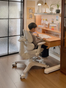 Hbada | Adjustable Height Children Study Chair