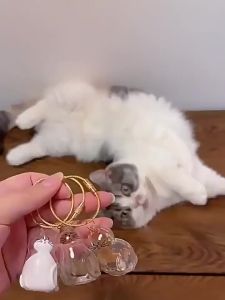 Adorable Dog Hair Storage Pendant Transparent Puppy Hair Memorial Capsule for Pet Lovers DIY Pet Memorial Pendant Accessories