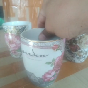 Home Line Mug Cantik Aksen Gold Keramik Set 2