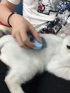 ⚑Portable Shell Shaped Handle Cat Ear Pet Grooming Brush Gentle Massage Comb For Cats And Dogs To Remove Loose Fur And Knots