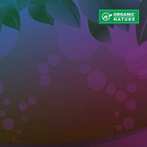 ORGANIC NATURE MANGOSTEEN GOLD PLUS CAPSULES (500MG)