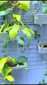 Juz Amma Custom Nama Anak Hafalan Tajwid Tikrar For Kids A5