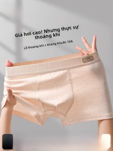 MiiOW | Quần lót nam Catman Pure Cotton thoáng khí mềm mại quần lót nam mùa hè 2025 quần lót nam chất liệu cotton nguyên chất