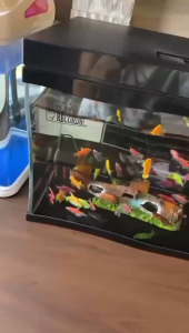 SOBO ES-380F 24L Black / White Super Crystal Clear Glass Fish Aquarium With Filter & LED Light