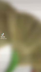 Chổi cỏ đỏ cán nhựa chổi quét nhà