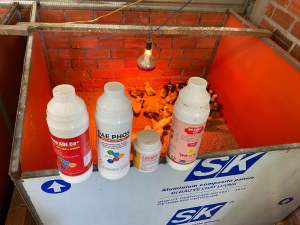 Combo Nuôi Gà từ khi nở đến lớn - Bio Smart 1 lít Clostop SP 100gram Protein ADE Ca+ 1 lít và Khoáng hữu cơ cao cấp 1 lít