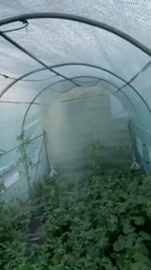 Diivoo Water Timer APP WIFI Wireless Remote Control Plant Watering System Outdoor Garden Irrigation System