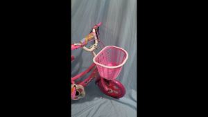 Sepeda Mini Anak Perempuan 12 Inch Unity Victoria Eva
