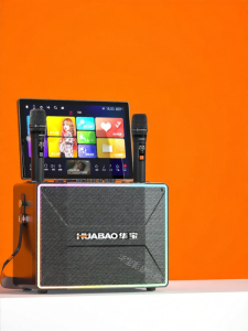 HUABAO | Outdoor Dancing Karaoke Display Speaker Set with Bass