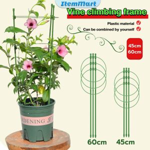 ItemMart Climbing Vine Flower Stand Flower Plant Support Rod Frame Dill 45cm 60cm Gardening Supplies