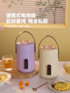 PANSON Mini Stew Cup Portable Electric Kettle Multifunctional Electric Cooker Electric Heating Pot