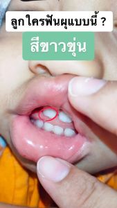 ยาสีฟันเด็ก - Dr.Wise พรีเมี่ยมออร์แกนิค (2หลอด)