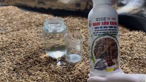 DỊCH ĐẠM SÂU CANXI Siêu Tăng Tốc Vỗ Béo Cho Tôm Cá Vật Nuôi  - Chai 1 lít