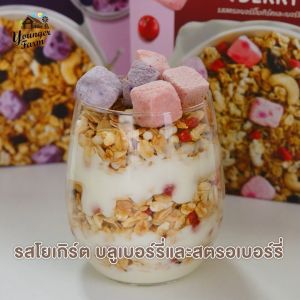 กราโนล่า ธัญพืชอบกรอบ รสสตรอเบอร์รี่และผลไม้ Younger farm 225 กรัม สูตรน้ำตาลน้อย แคลต่ำ เชื่อวัตถุ ผิวหน้า สูตรน้ำตาลน้อย และอาหารเช้าสุดคลีน Vegan
