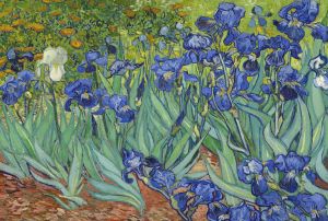 Jigsaw Puzzles for Adults 500/1000/1200/2000PCS Irises by Vincent Van Gogh Puzzles for Family Game Birthday Gift