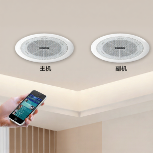 Sony Wireless Bluetooth Ceiling Speaker 3D Surround Indoor Home Shop Broadcast 310 High Quality Sound Easy Installation