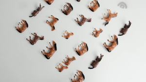 Scale model animal kits Model cows horse peagans birds for HO N Building model farming field model train diorama scene 12pcs